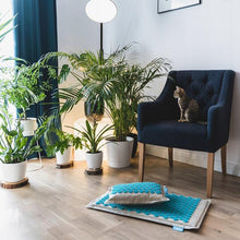 Last inn bildet i Galleri-visningsprogrammet, Eco Spa akupressurmatte og pute - Incolise
